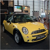 mini919