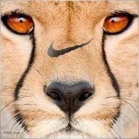 Shere-Khan