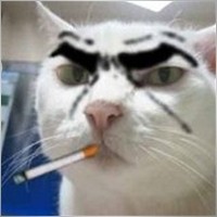 scalpingcat