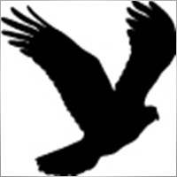 BlackBird