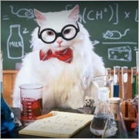 ShredingerCat