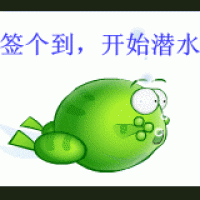 yyy9991