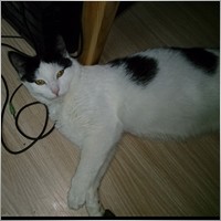 clarmax87