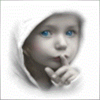 wellforex