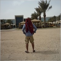 Q8in