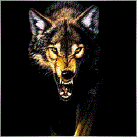 skywolfcs
