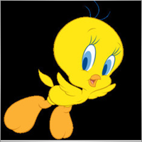 Piolin