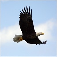 charlesm75