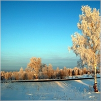 dargun