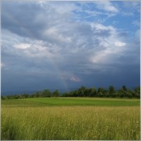 tenahe66