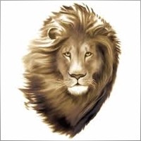 kingOFtrades