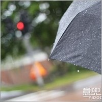 g245015841