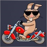 modial