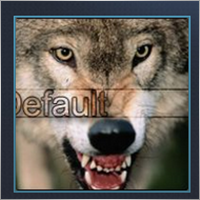 default
