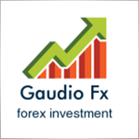 GaudioFxI