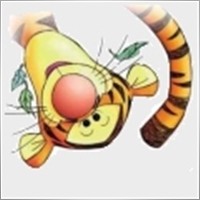 Tig3r