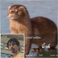 kaisorn