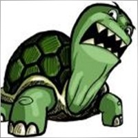 Mad_turtle