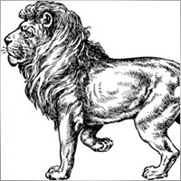 AlfredoMT4