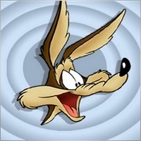 wileycayote