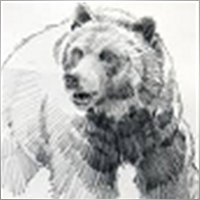 Kodiak888