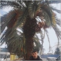 Kazbek09