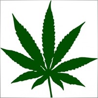 phirawut