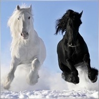 Andrey077