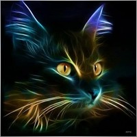 AlfredCat