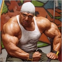 Sergigig