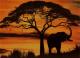 AfricanSky