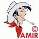 AMIR7313