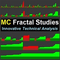 MCFractalStudie