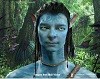 ripefx6088