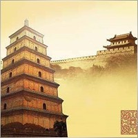 zhaowei-312