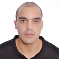 nolossforexea