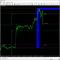 ali.forex2020