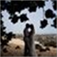 andersoncassecabento