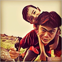roy_fx