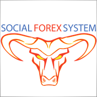 socialforexsystem