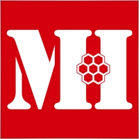P2PMH3