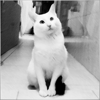 Ayhomer