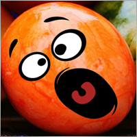 trading4eggs