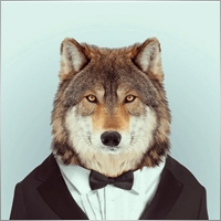 wolfman2000