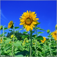 summerstm001