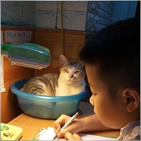 lizhenfu