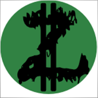 GreenZorro