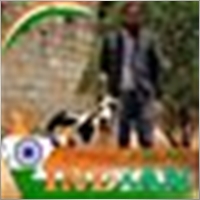 pradeepcargill-gmail