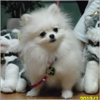 jimy0301