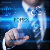 vvtradersh
